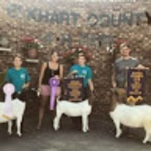 Meet your Posher, Allison